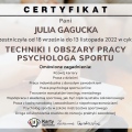 Powiększ obraz: certificate 8