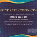 Powiększ obraz: certificate 2