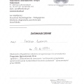 Powiększ obraz: certificate 11