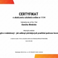 Powiększ obraz: certificate 16