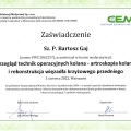 Powiększ obraz: certificate 9