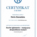 Powiększ obraz: certificate 4