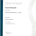 Powiększ obraz: certificate 11