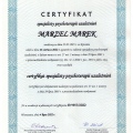 Powiększ obraz: certificate 1