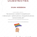 Powiększ obraz: certificate 4