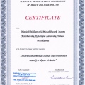 Powiększ obraz: certificate 22