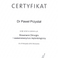 Powiększ obraz: certificate 4