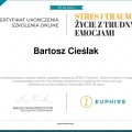 Powiększ obraz: certificate 1