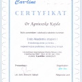 Powiększ obraz: certificate 3