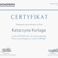 Powiększ obraz: certificate 1