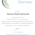 Powiększ obraz: certificate 6