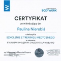 Powiększ obraz: certificate 7