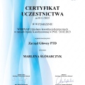 Powiększ obraz: certificate 4