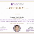Powiększ obraz: certificate 10