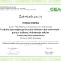 Powiększ obraz: certificate 6