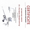 Powiększ obraz: certificate 19