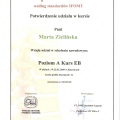 Powiększ obraz: certificate 2