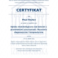 Powiększ obraz: certificate 2