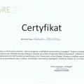 Powiększ obraz: certificate 4