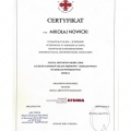 Powiększ obraz: certificate 13