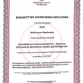 Powiększ obraz: certificate 11