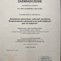 Powiększ obraz: certificate 1