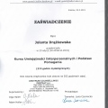 Powiększ obraz: certificate 7