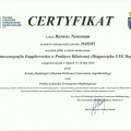 Powiększ obraz: certificate 6