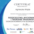 Powiększ obraz: certificate 7