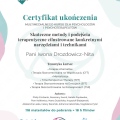 Powiększ obraz: certificate 11