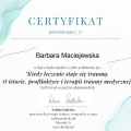 Powiększ obraz: certificate 2