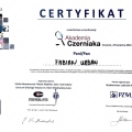 Powiększ obraz: certificate 19