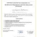 Powiększ obraz: certificate 6
