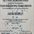 Powiększ obraz: certificate 2