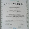 Powiększ obraz: certificate 12