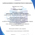 Powiększ obraz: certificate 3