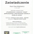 Powiększ obraz: certificate 1