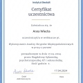 Powiększ obraz: certificate 3