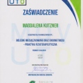 Powiększ obraz: certificate 6