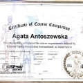 Powiększ obraz: certificate 10