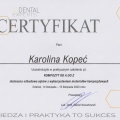 Powiększ obraz: certificate 5