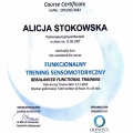 Powiększ obraz: certificate 10
