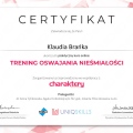 Powiększ obraz: certificate 10