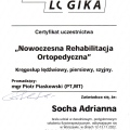Powiększ obraz: certificate 1