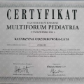 Powiększ obraz: certificate 4