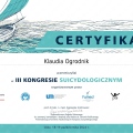 Powiększ obraz: certificate 9
