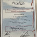 Powiększ obraz: certificate 1