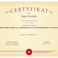 Powiększ obraz: certificate 215