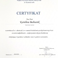 Powiększ obraz: certificate 25