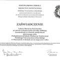 Powiększ obraz: certificate 29